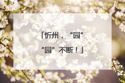 忻州，“园”“园”不断！