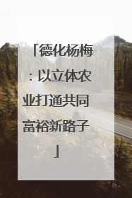 德化杨梅：以立体农业打通共同富裕新路子