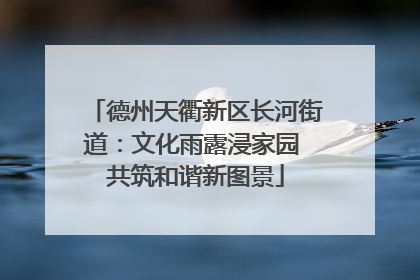 德州天衢新区长河街道：文化雨露浸家园 共筑和谐新图景