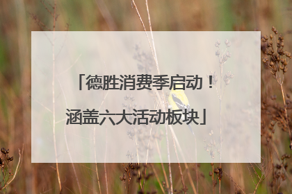 德胜消费季启动！涵盖六大活动板块