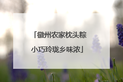徽州农家枕头粽 小巧玲珑乡味浓