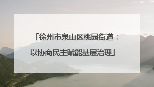 徐州市泉山区桃园街道：以协商民主赋能基层治理