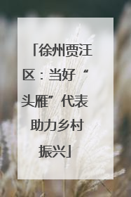 徐州贾汪区：当好“头雁”代表 助力乡村振兴