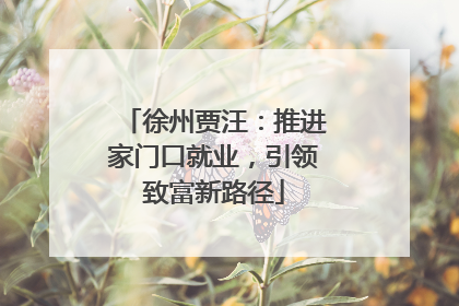 徐州贾汪：推进家门口就业，引领致富新路径