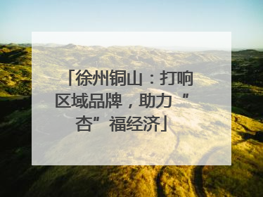 徐州铜山：打响区域品牌，助力“杏”福经济