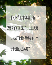 小红书电商“友好市集”上线，6月将举办“开业活动”