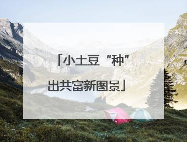 小土豆“种”出共富新图景