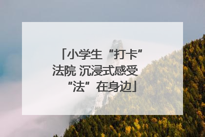 小学生“打卡”法院 沉浸式感受“法”在身边