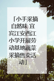 小手采摘自然味 宜宾江安西江小学开展劳动基地蔬菜采摘售卖活动
