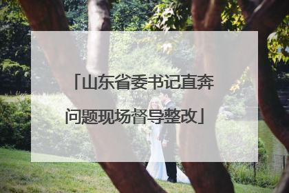 山东省委书记直奔问题现场督导整改