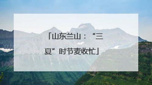 山东兰山：“三夏”时节麦收忙