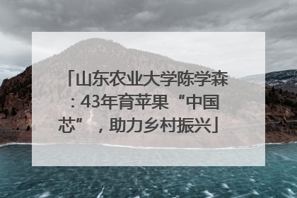 山东农业大学陈学森：43年育苹果“中国芯”，助力乡村振兴