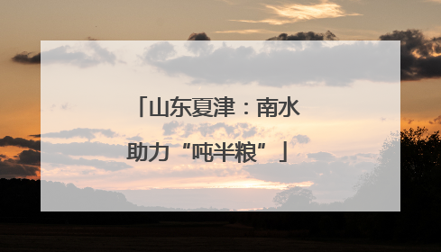 山东夏津：南水助力“吨半粮”