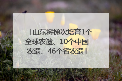 山东将梯次培育1个全球农遗、10个中国农遗、46个省农遗
