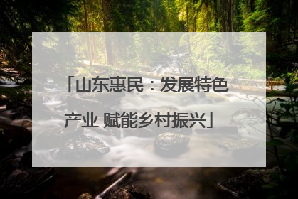 山东惠民：发展特色产业 赋能乡村振兴