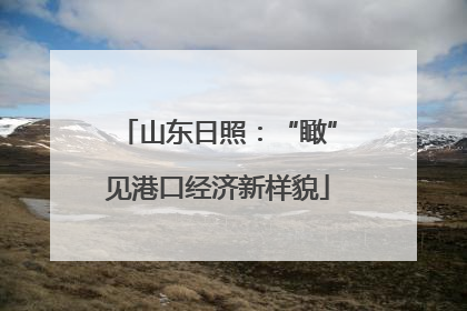 山东日照：“瞰”见港口经济新样貌