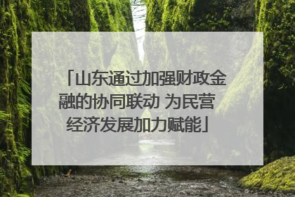 山东通过加强财政金融的协同联动 为民营经济发展加力赋能