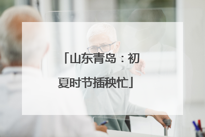 山东青岛：初夏时节插秧忙