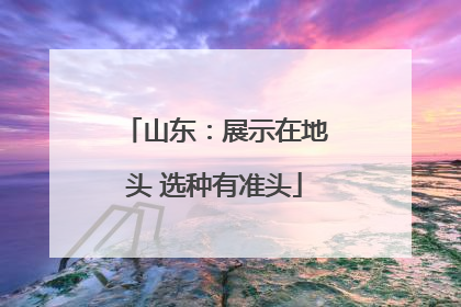 山东：展示在地头 选种有准头