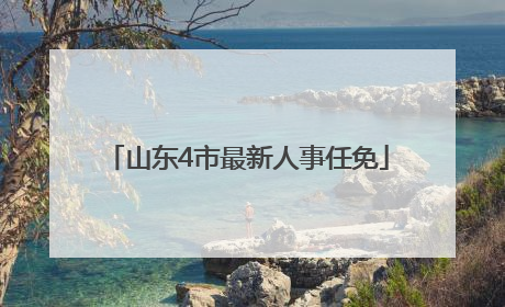 山东4市最新人事任免