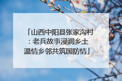 山西中阳县张家沟村：老兵故事浸润乡土 温情乡邻共筑国防情