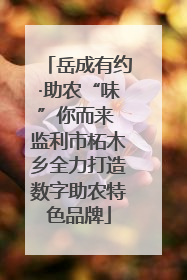 岳成有约·助农“味”你而来 监利市柘木乡全力打造数字助农特色品牌