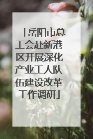 岳阳市总工会赴新港区开展深化产业工人队伍建设改革工作调研