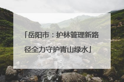 岳阳市：护林管理新路径全力守护青山绿水