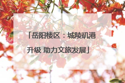 岳阳楼区：城陵矶港升级 助力文旅发展