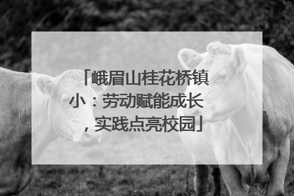 峨眉山桂花桥镇小：劳动赋能成长，实践点亮校园