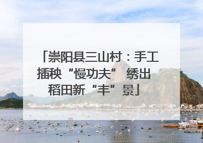 崇阳县三山村：手工插秧“慢功夫” 绣出稻田新“丰”景