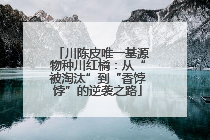川陈皮唯一基源物种川红橘：从“被淘汰”到“香饽饽”的逆袭之路