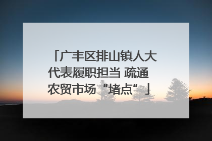 广丰区排山镇人大代表履职担当 疏通农贸市场“堵点”