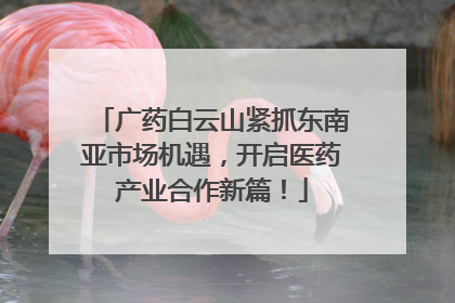 广药白云山紧抓东南亚市场机遇，开启医药产业合作新篇！