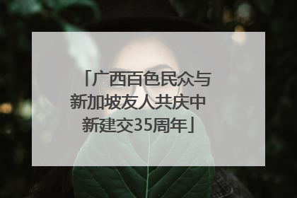 广西百色民众与新加坡友人共庆中新建交35周年