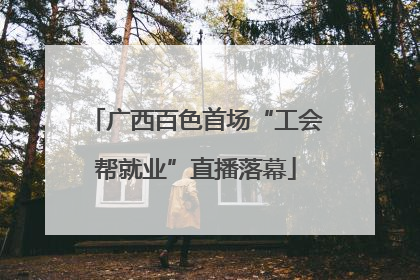 广西百色首场“工会帮就业”直播落幕
