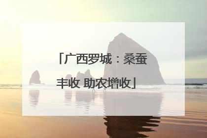 广西罗城：桑蚕丰收 助农增收