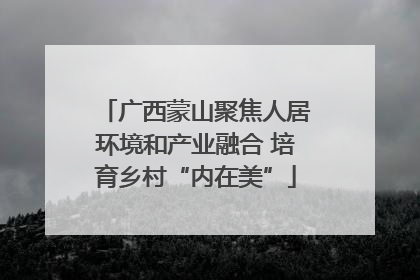 广西蒙山聚焦人居环境和产业融合 培育乡村“内在美”
