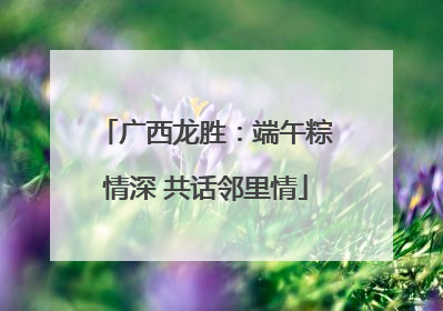 广西龙胜：端午粽情深 共话邻里情