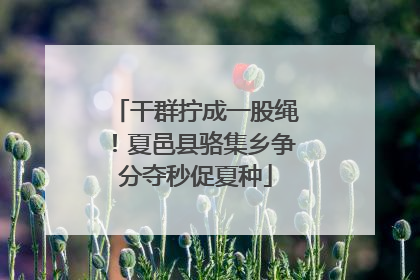 干群拧成一股绳！夏邑县骆集乡争分夺秒促夏种