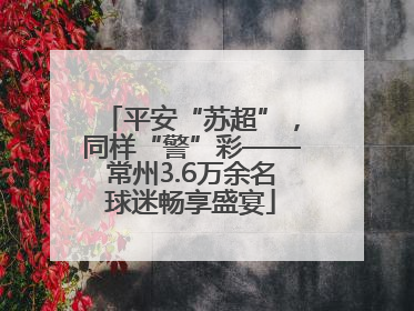 平安“苏超”，同样“警”彩——常州3.6万余名球迷畅享盛宴
