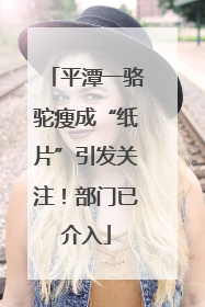 平潭一骆驼瘦成“纸片”引发关注！部门已介入