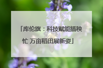 库伦旗：科技赋能插秧忙 万亩稻田展新姿