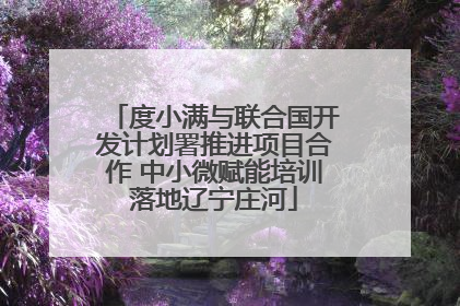 度小满与联合国开发计划署推进项目合作 中小微赋能培训落地辽宁庄河