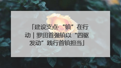 建设支点·“镇”在行动｜罗田首强镇以“四驱发动”践行首镇担当