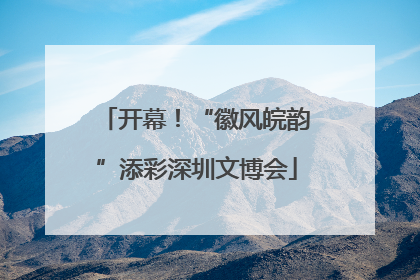 开幕！“徽风皖韵”添彩深圳文博会