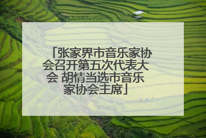 张家界市音乐家协会召开第五次代表大会 胡情当选市音乐家协会主席