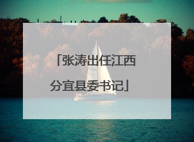 张涛出任江西分宜县委书记