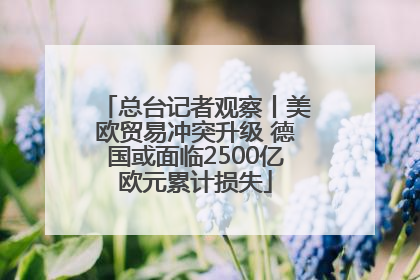 总台记者观察丨美欧贸易冲突升级 德国或面临2500亿欧元累计损失