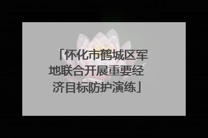 怀化市鹤城区军地联合开展重要经济目标防护演练